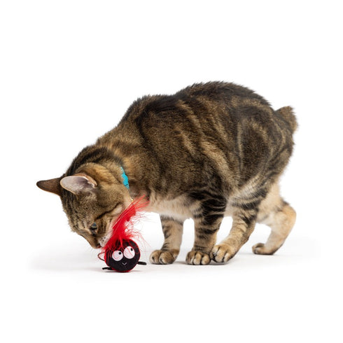 Huxley & Kent Lady Bug Flinger Cat Toy - Poudre Pet & Feed Supply 3
